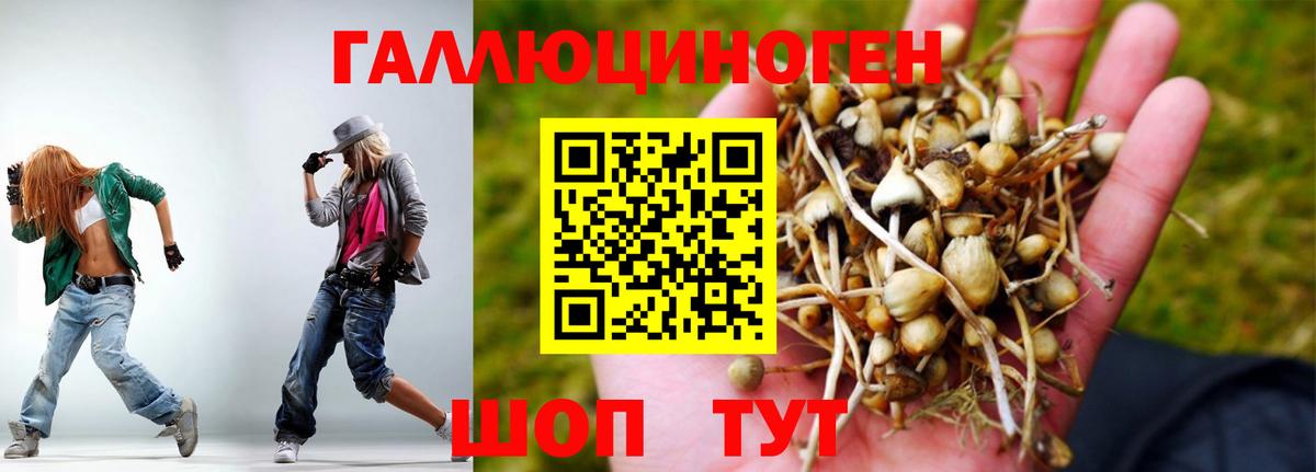Новодвинск  Псилоцибиновые грибы Magic Shrooms  Вход с VPN  Галлюциногенные грибы мухоморы 